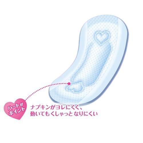 エリス 新・素肌感 多い昼〜ふつうの日用 羽なし ( 26枚入*2個