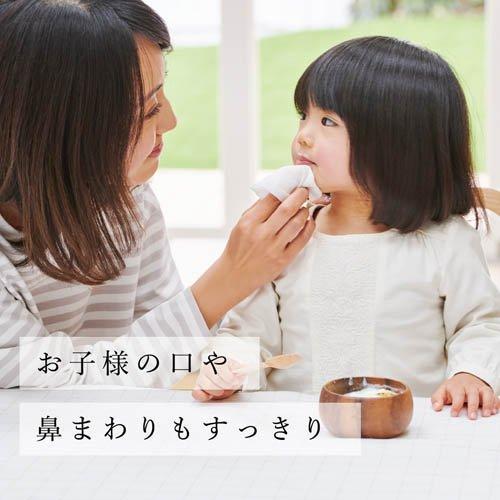 【送料無料】10本セット　シェーンハイト　乳液ｘ10 エリエール ウエットティシュー 純水タイプ 贅沢保湿 ボックスつめかえ