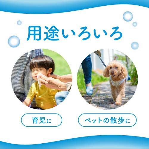 エリエール 水に流せるポケットティシュー オーデュス ( 10組*16コ入