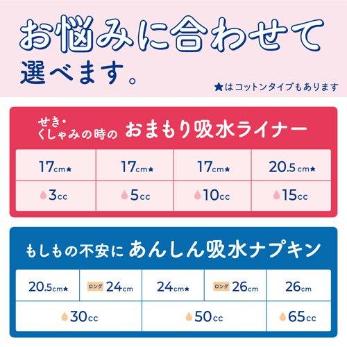 ナチュラさら肌さらりあんしん吸水ナプキン26cm65cc ( 16枚入