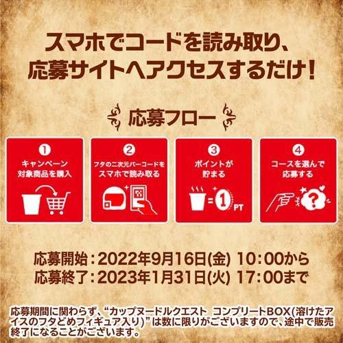 カップヌードルクエスト コンプリートBOX 溶けたアイスのフタどめ