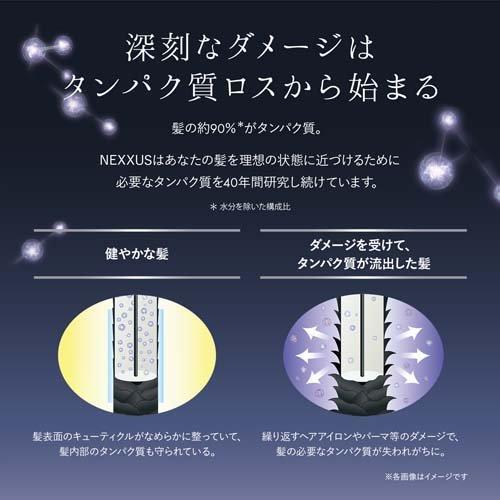 NEXXUS(ネクサス) インテンスダメージリペア 洗い流さないトリートメントオイル ( 100ml )/ NEXXUS(ネクサス) ( ヘアケア ヘアオイル ダメージケア )｜soukai｜02