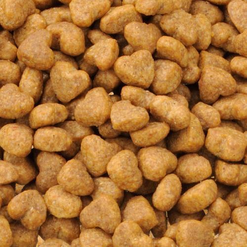 ビューティープロ ドッグ 子犬用 12ヵ月頃まで 小分け6袋入 ( 2.5kg
