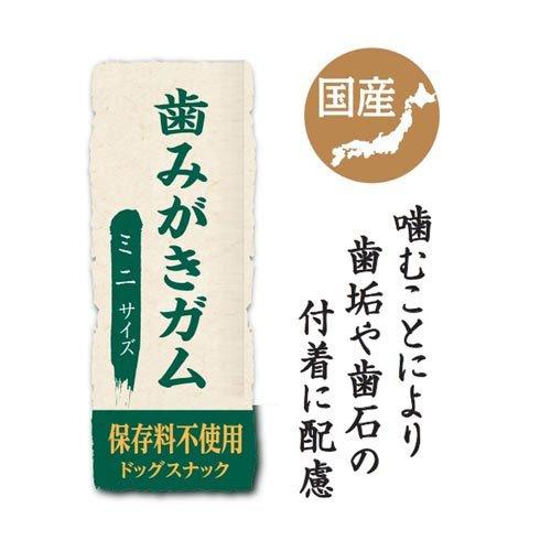 ジェーピースタイル 和の究み 歯みがきガム ミニ ( 200g )/ ジェーピー