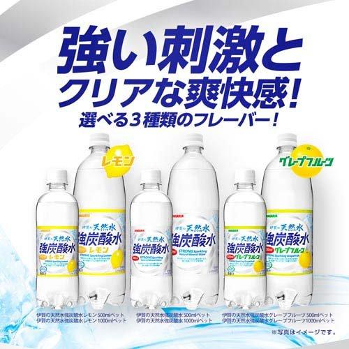 サンガリア 伊賀の天然水強炭酸水 レモン ( 1000ml*12本入 サンガリア 伊賀の天然水強炭酸水 レモン ( 1000ml*12本入