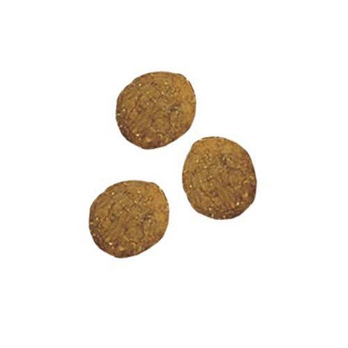 ピュリナワン キャット ドライ 健康マルチケア 11歳以上 チキン ( 2kg