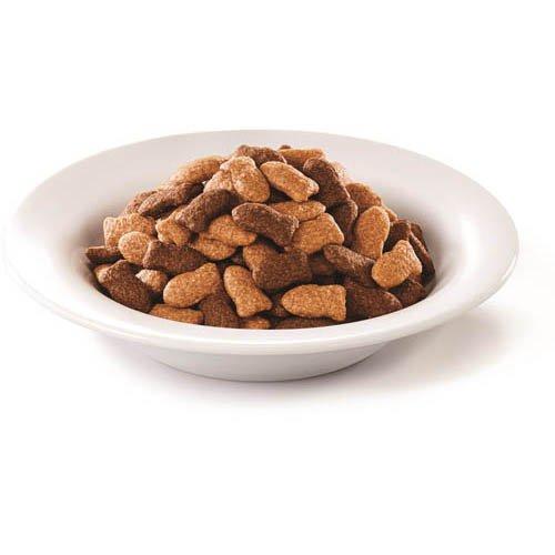 モンプチ バッグ ドライ 5種のお腹にやさしいブレンド ( 600g
