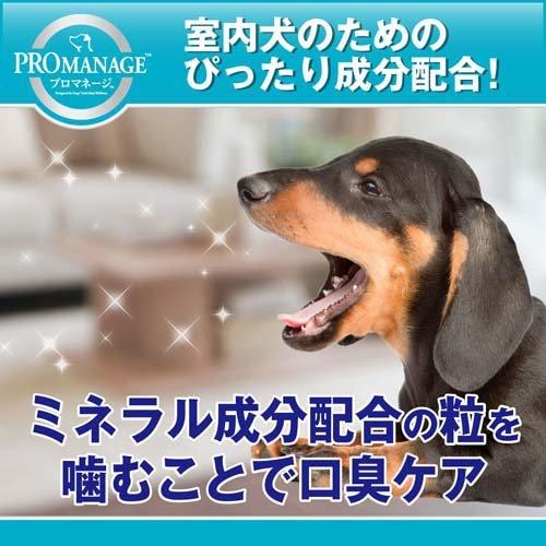 プロマネージ 室内犬用 成犬用 ( 1.7kg )/ ドッグフード
