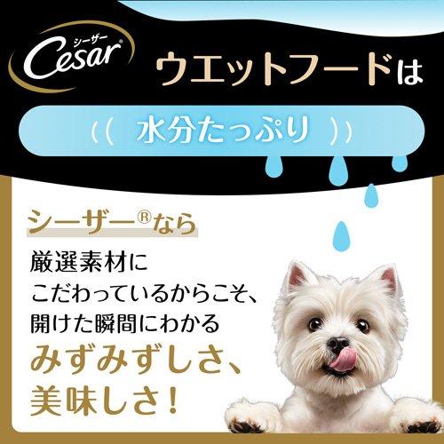 シーザー ジューシー厳選ビーフ 彩り野菜入り 成犬用 ウェットフード