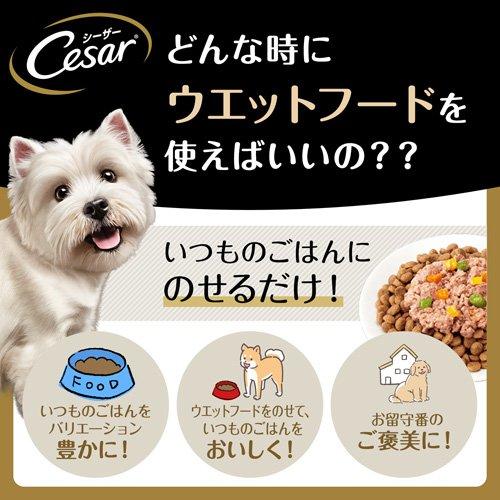 シーザー ジューシー厳選ビーフ 彩り野菜入り 成犬用 ウェットフード