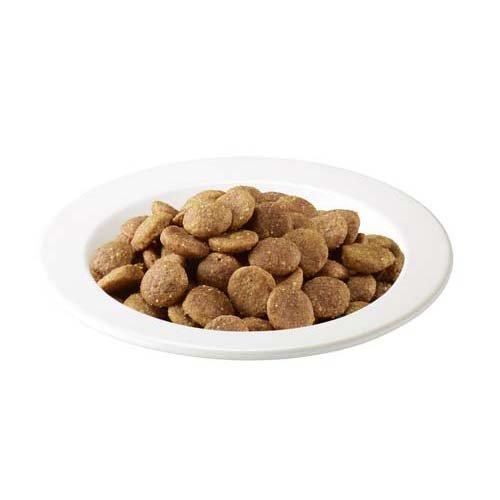 アイムス（マース） アイムス 11歳以上用 毎日の健康サポート