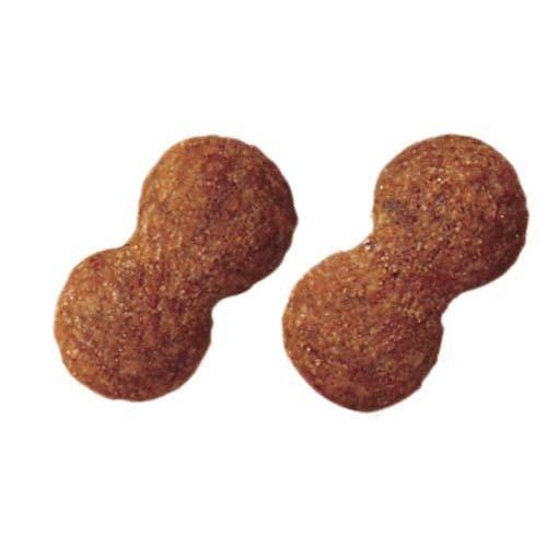 プロマネージ 7歳からのチワワ専用 ( 1.7kg )/ ドッグフード ) : 爽快