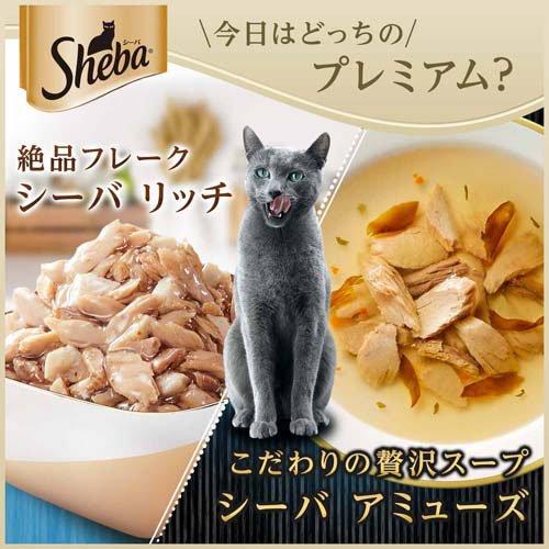 シーバ リッチ お魚ミックス かつお・サーモン入り 成猫 キャット