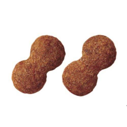 PRO MANAGE プロマネージ　ミニチュアシュナウザー専用　ドッグフード プロマネージ ドッグフード 成犬用 ミニチュアシュナウザー専用