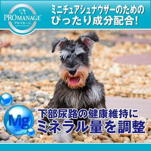 プロマネージ 成犬用 ミニチュアシュナウザー専用 ( 1.7kg