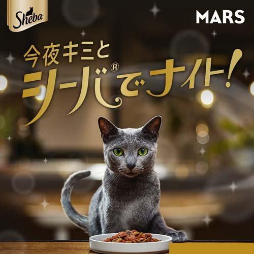 シーバ リッチ ごちそうフレーク 贅沢シーフードアソート ( 35g*6袋入