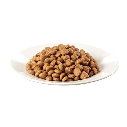 シーザー ドライ 成犬用 チキンと4種の農園野菜入り 小粒 ( 1.5kg