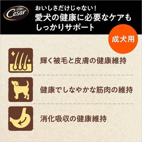 シーザー ドライ 成犬用 ラムと4種の農園野菜入り 小粒 ( 1.5kg