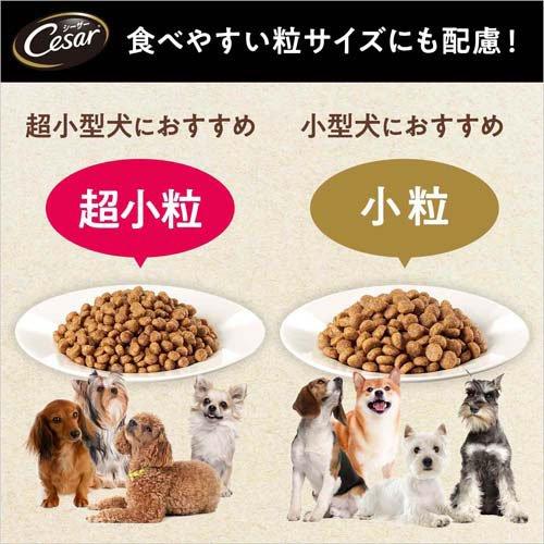 ドッグフード 楽天市場】「GWスペシャル企画開催！」サミット DOG チキン+ターキー