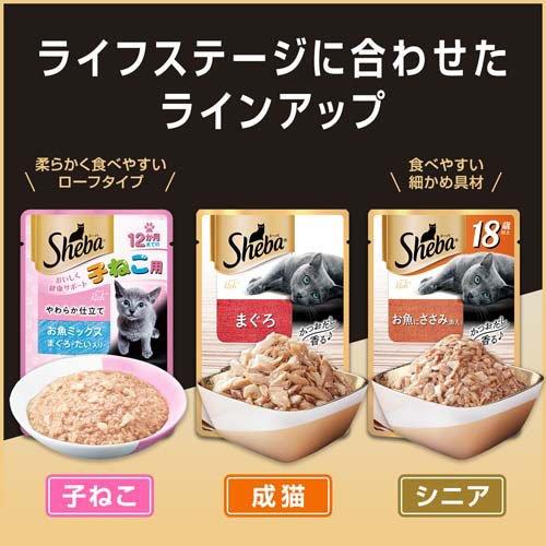 シーバ リッチ まぐろ 成猫 キャット ウェットフード ( 35g×12袋入