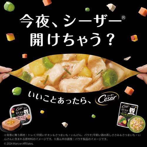 シーザー 自然素材レシピ 平飼い鶏の蒸しささみ＆さつまいも いんげん