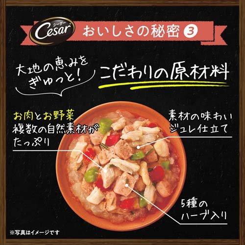 シーザー　自然素材レシピ(蒸しささみ・厳選ビーフ&パプリカ・いんげん) シーザー 自然素材レシピ 蒸しささみ・厳選ビーフ＆パプリカ いんげん