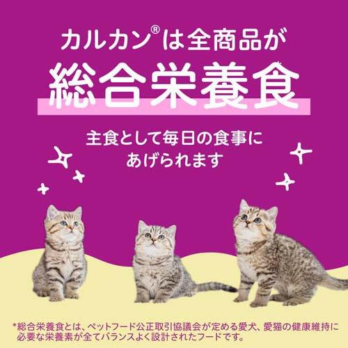 カルカン パウチ 12ヵ月までの子ねこ やわらかパテ まぐろ 着色料 無