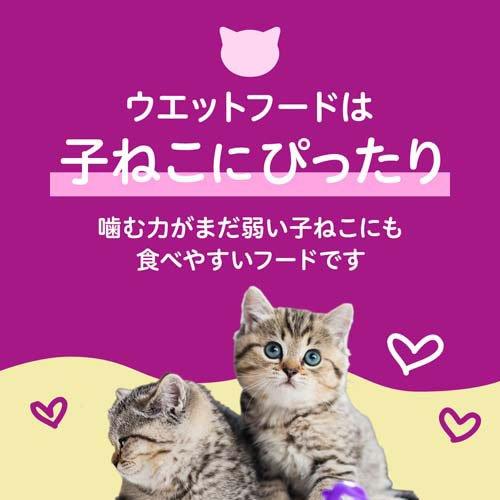 カルカン パウチ 12ヵ月までの子ねこ やわらかパテ まぐろ 着色料 無