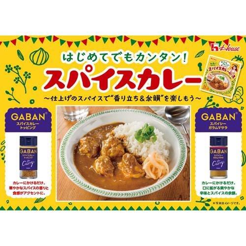 GABAN for Curry スパイスカレートッピング ( 18g )/ ギャバン GABAN for Curry スパイスカレートッピング ( 18g )/ ギャバン