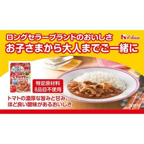 特定原材料8品目不使用 完熟トマトのハヤシライスソース ( 105g
