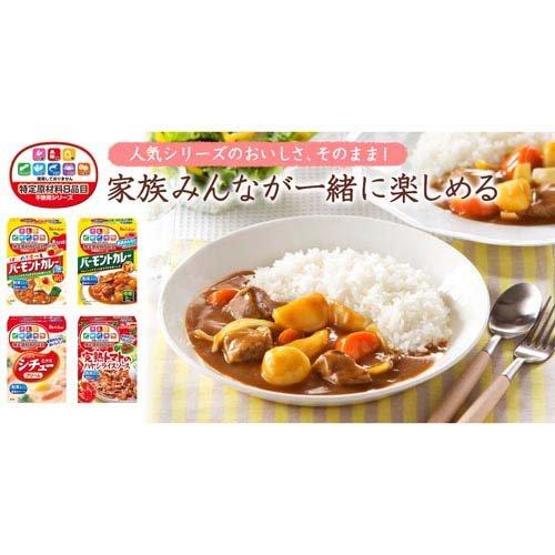 ハヤシライス様　オーダー専用 特定原材料8品目不使用 完熟トマトのハヤシライスソース ( 105g