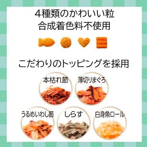 新品　木製懐石膳5枚 茶器/茶道具 懐石道具（会席道具）/折敷】 懐石膳（会席膳） 5客セット