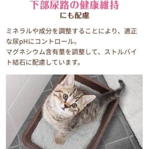 メディファス　アドバンス　7歳　10袋 キャットフード「メディファスアドバンス 関節・筋肉の健康維持 7歳頃