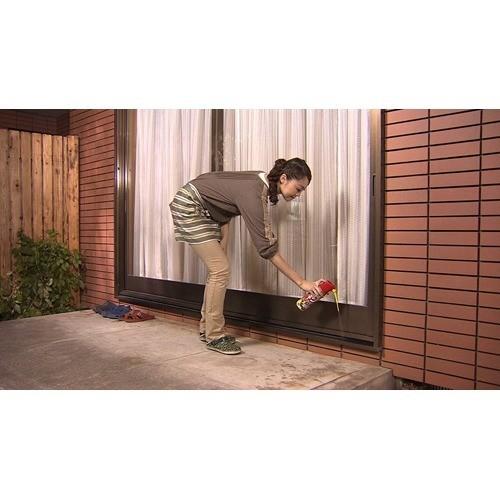 フマキラー アリ用殺虫スプレー アリフマキラー ( 450ml フマキラー アリ用殺虫スプレー アリフマキラー ( 450ml