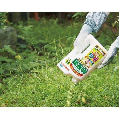 フマキラー カダン やさしい除草剤 虫よけ除草王 2l カダン 爽快ドラッグ 通販 Yahoo ショッピング