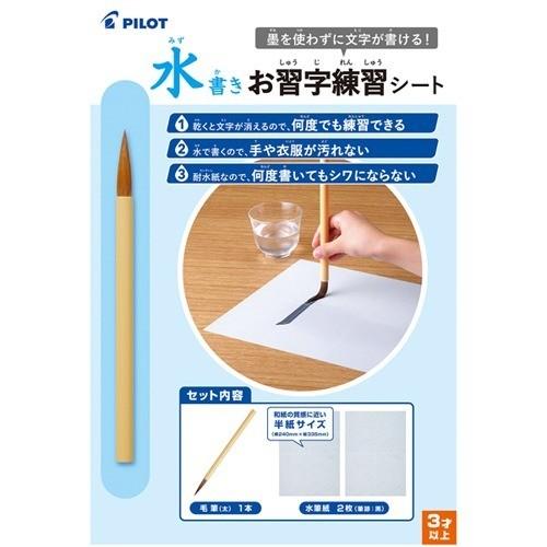 水書きお習字練習シート Msn 100p 1セット パイロット 4902505575365 爽快ドラッグ 通販 Yahoo ショッピング