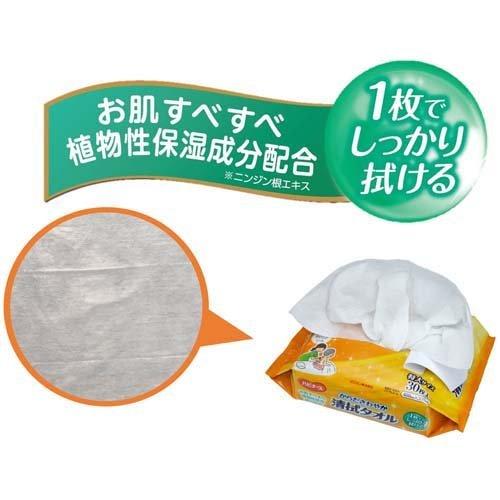 Pigeon（ピジョン） ハビナース からださわやか清拭タオル ( 30枚入