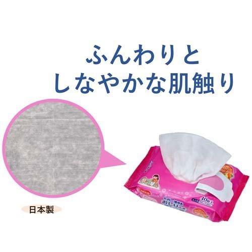 Pigeon（ピジョン） ハビナース トイレに流せるおしりふき 大判厚手
