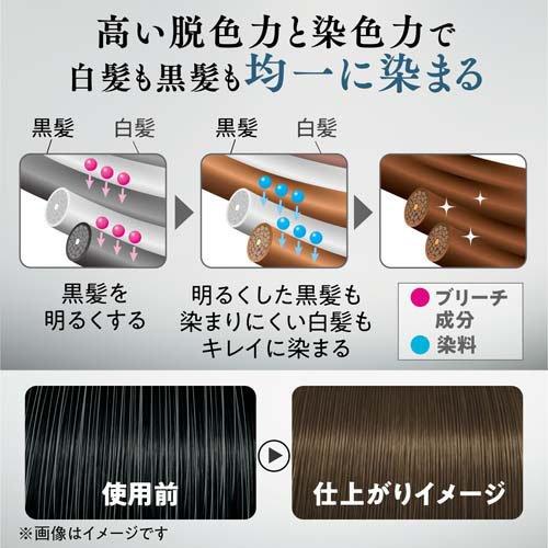 LUCIDO(ルシード) デザインヘアカラー マットアッシュ 白髪染め メンズ