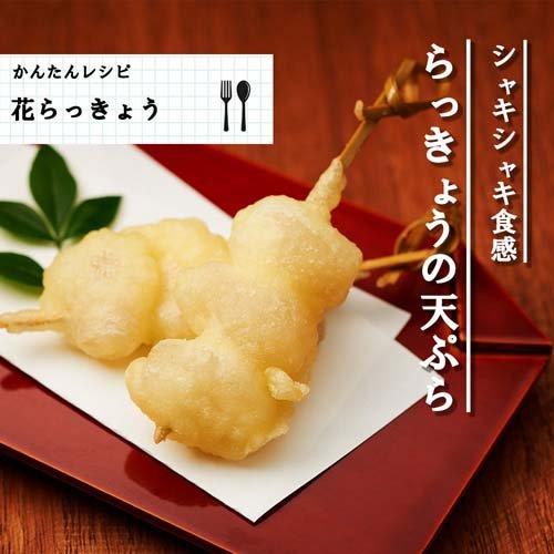 桃屋 花らっきょう ( 115g )/ らっきょう 甘酢漬 乳酸発酵 カレー 漬物