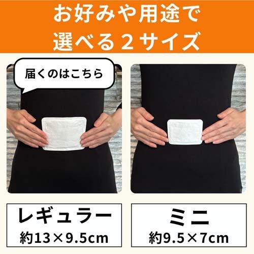 貼る カイロ レギュラー はるオンパックス 日本製 14時間持続 ( 30個入