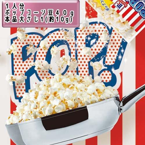 マコーミック 業務用ポップコーンシーズニング 塩キャラメル味 ( 150g