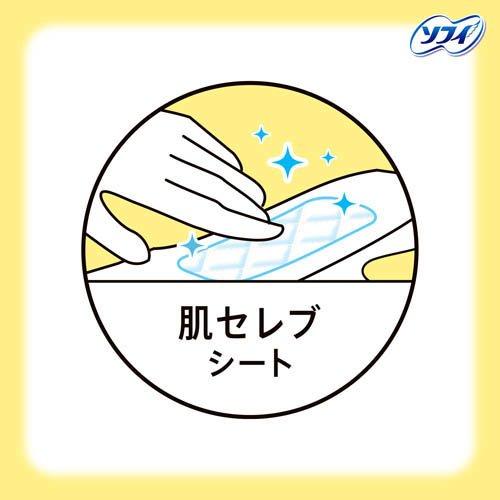 センターイン コンパクト 1／2 多い昼 ふつうの日用 無香料 羽つき