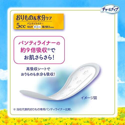 チャームナップ 吸水さらフィ 微量用 羽なし 5cc 17.5cm ( 72枚入
