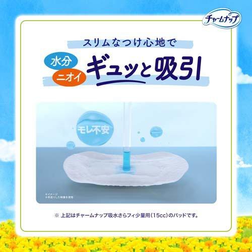 チャームナップ 吸水さらフィ 多くても安心用 羽なし 100cc 29cm ( 28