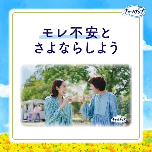 チャームナップ 吸水さらフィ 多くても安心用 羽なし 100cc 29cm ( 28