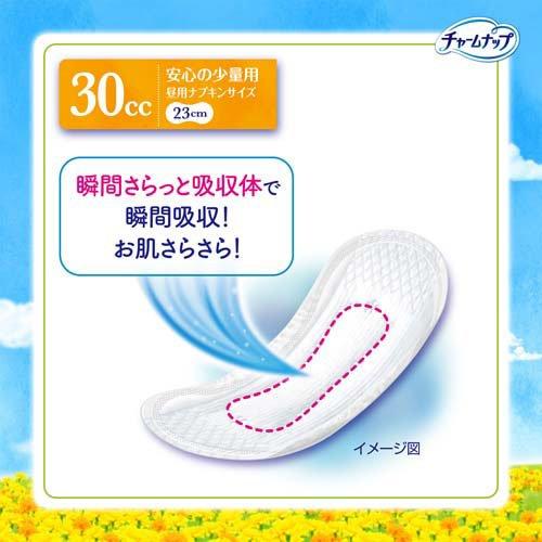 チャームナップ 吸水さらフィ 安心の少量用 羽なし 30cc 23cm ( 22個入