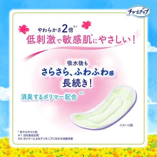 チャームナップ 吸水さらフィ ふんわり肌 中量用 無香料 羽なし 50cc