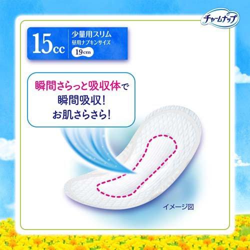 チャームナップ 吸水さらフィ 少量用 羽なし 15cc 19cm(尿吸収ナプキン