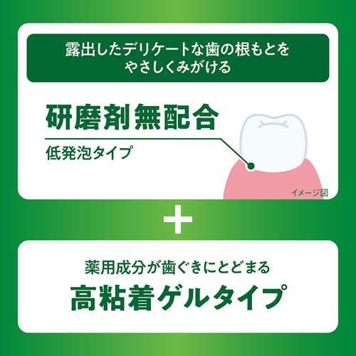 デントヘルス 薬用ハミガキ 無研磨ゲル ( 85g )/ : 爽快ドラッグ